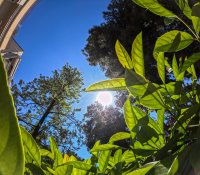 Foto (© Eurokinissi)