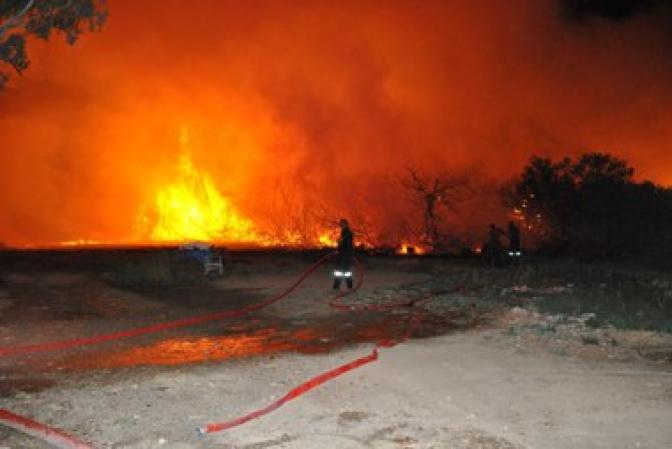Trockenheit und starke Winde: Zahlreiche Brände in Griechenland