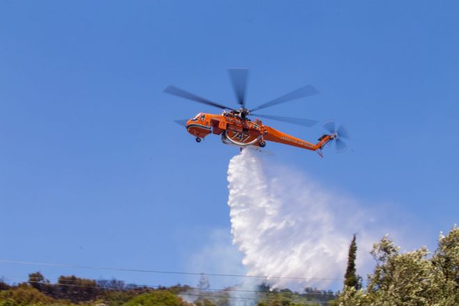 Waldbrand auf Chios – Mastix-Pflanzungen erneut in Gefahr <sup class="gz-article-featured" title="Tagesthema">TT</sup>