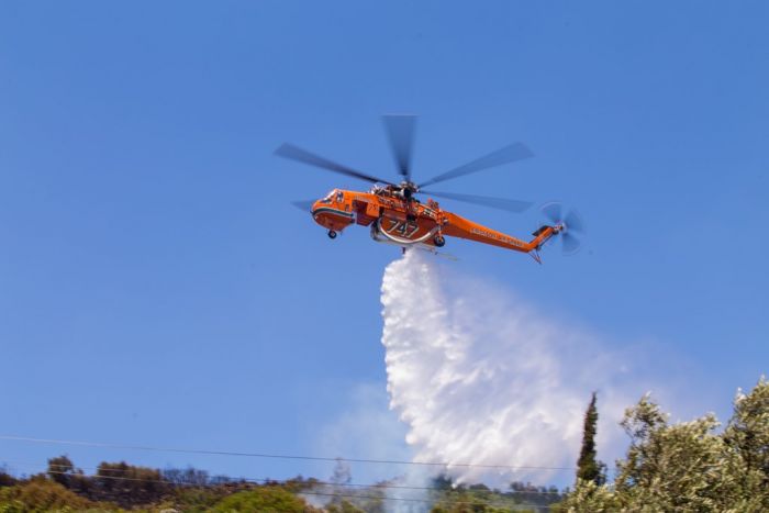 Waldbrand auf Chios – Mastix-Pflanzungen erneut in Gefahr