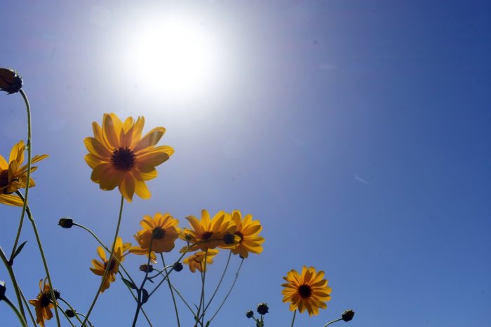 Foto (© Eurokinissi)