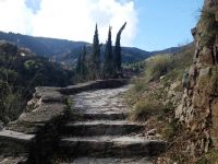 Münchner Runde: Wie geht es jetzt weiter mit Griechenland?