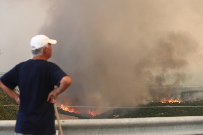 Unsere Fotos (© Eurokinissi) entstanden in der Nähe von Alexandroupoli.