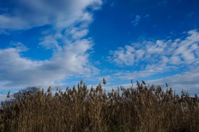 Foto (© Eurokinissi)