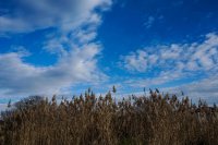 Foto (© Eurokinissi)