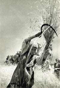 Monat Juli: „Bündelverbrennerin“ und „Regenmacher-Heiliger“