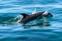 Archivfoto (© Eurokinissi)