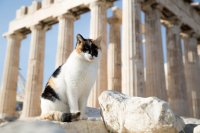 Unser Archivfoto (© Griechenland Zeitung / Eleni Kougionis)