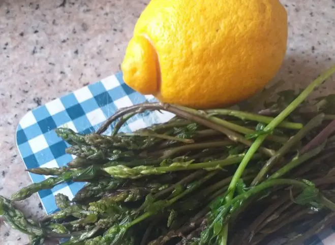 Foto (© GZlg): Wildspargel: kurz aufkochen und mit Olivenöl und Zitronensaft anrichten