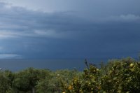 Archivfoto (© Hubert Seifert)