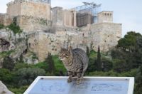 Das Wetter in Griechenland: Sehr wechselhaft mit Sonne, Wolken, Gewittern und Regen