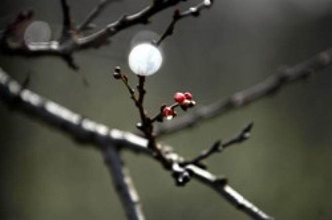 Das Wetter für Athen und Attika