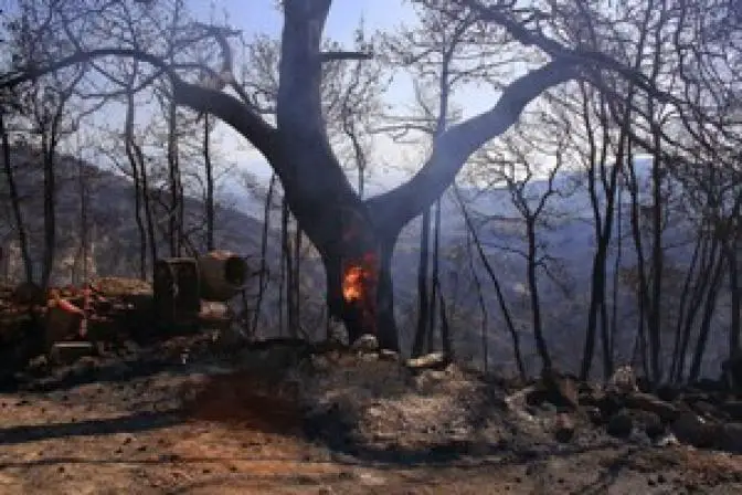 Brände setzen ihr zerstörerisches Werk fort – Unterstützung der Feuerwehr aus Deutschland und Frankreich