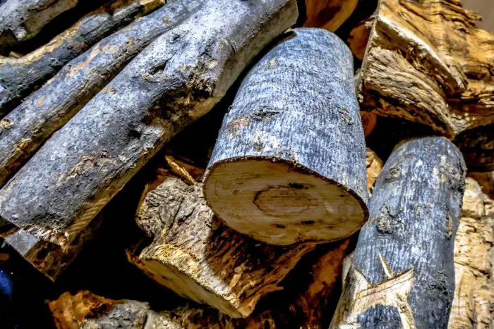 Archivfoto (© Eurokinissi)