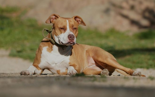 Symbolbild (© Canva)