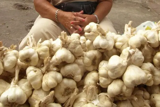 Foto (© Eurokinissi)