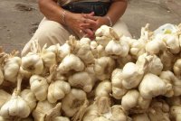 Foto (© Eurokinissi)