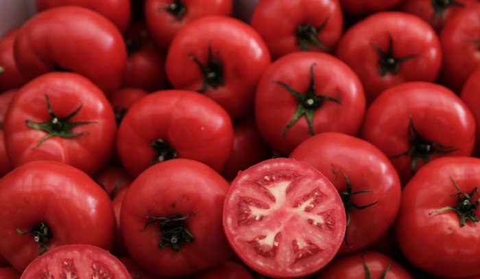 Archivfoto (© Eurokinissi)