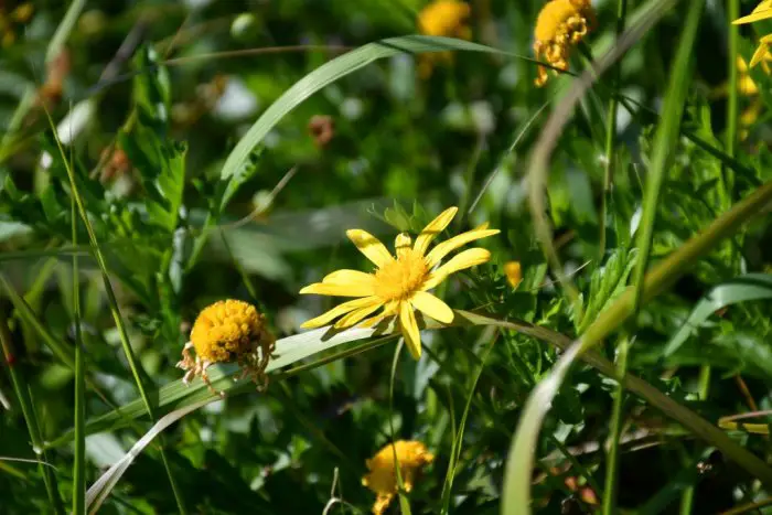 Archivfoto (© Griechenland Zeitung / jh)