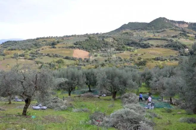 Foto (© GZ/ Jan Hübel)