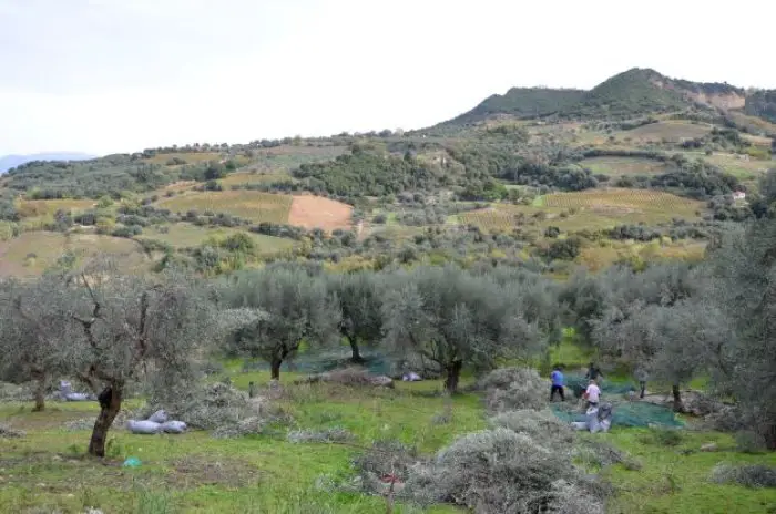 Foto (© GZ/ Jan Hübel)