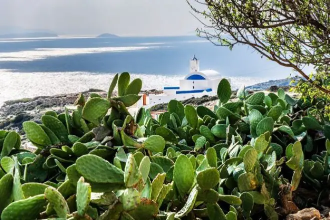 Foto (© Griechenland Zeitung/ Richard Frauenberger)