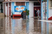 Unser Foto (© Eurokinissi) entstand in Ilia auf der Peloponnes.