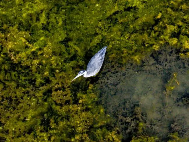 Foto (© Eurokinissi)