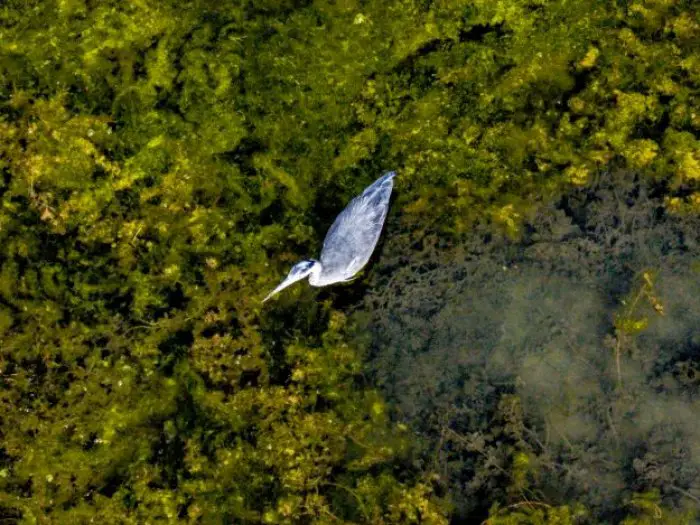 Foto (© Eurokinissi)