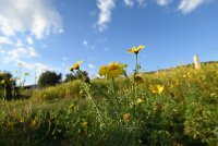 Archivfoto (© Eurokinissi)