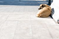 Frischer Wind für die Ägäis und etwas Schnee für das Festland