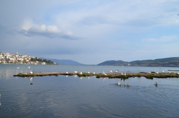Foto: © Griechenland Zeitung/ Jan Hübel/ Lesbos