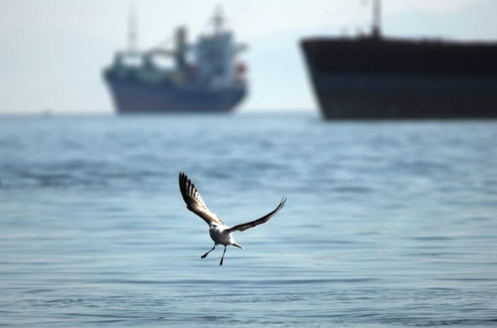 Insel Skiathos: Verrosteter Frachter soll aus dem Hafen entfernt werden