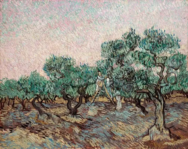Disput um die „Olivenernte“ von van Gogh (Foto: mg/Ausschnitt).