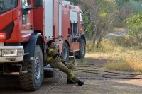 Unser Foto (© Eurokinissi) entstand am Wochenende in Messenien.