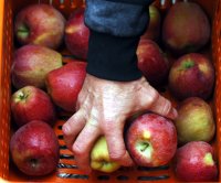 Archivfoto (© Eurokinissi)