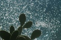 Ermioni: Das Inselstädtchen auf dem Festland. Teil 1