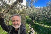 Foto © Nicos Psaltiras