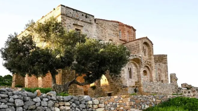 Das Foto ( © Cultural Institute of Messinia) zeigt den Olivenbaum (Anthinolia), der neben der byzantinischen Kirche Agia Sofia in Monemvassia steht.