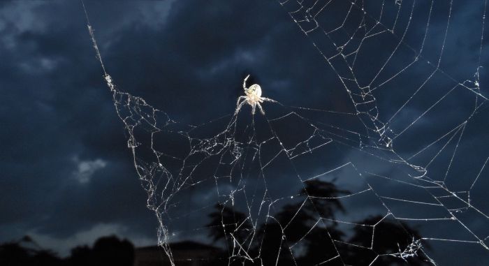 © Eurokinissi / Archivfoto