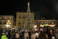 Lichterbaum in Griechenland: Wie aus einer anderen Welt 