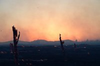 Unser Foto (© Eurokinissi) entstand am Samstag (26.7.) in Attika.