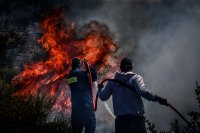 Unsere Fotos (© Eurokinissi) entstanden am Montag (16.6.) in der Gegend Ano Souli bei Marathon im Osten Attikas.