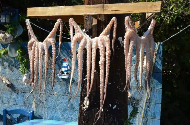 Foto © Griechenland Zeitung / Jan Hübel