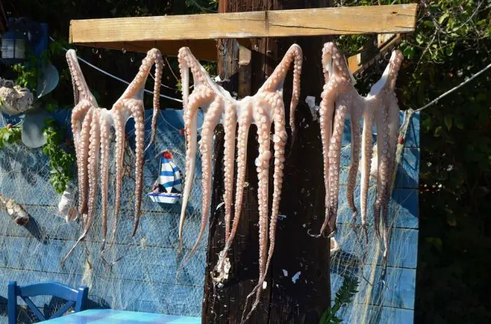 Foto © Griechenland Zeitung / Jan Hübel