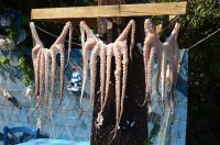 Foto © Griechenland Zeitung / Jan Hübel