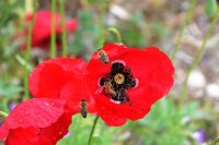 Foto (© Eurokinissi) 