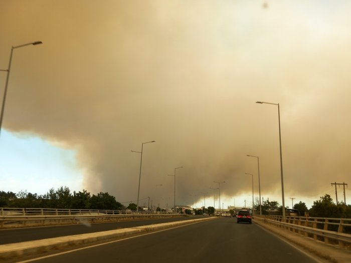 Unsere Fotos (© Eurokinissi) entstanden in der Nähe von Alexandroupoli.