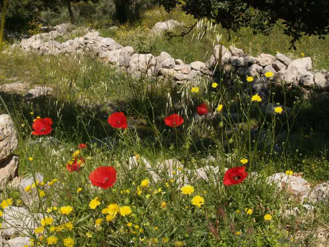 Das Wetter für Athen und Attika