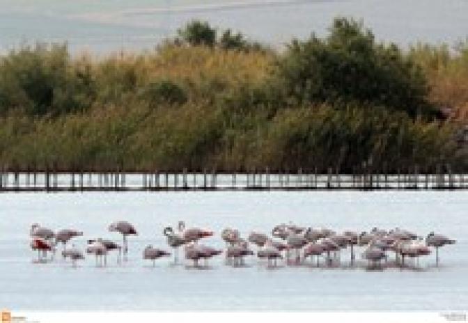 Vistonida-See zum Nationalpark erklärt